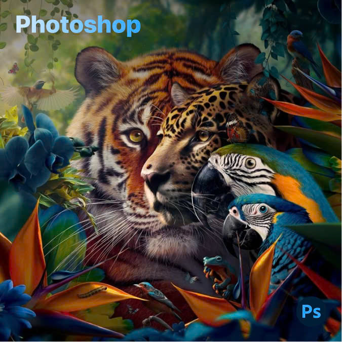 Adobe Photoshop